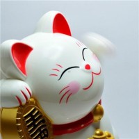 梦见黑猫钻进水管怎么样?