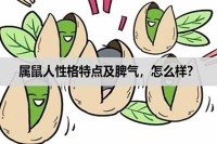 鼠人的性格特征和脾气如何?