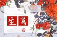 杨清华 十二生肖一周运势11.13-11.19 