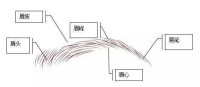 如果一个人的五官齐全,形状好,说明这个人一生有很多好运