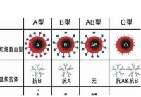 a型血和o型血配对细节(a型血和o型血可以谈恋爱吗？