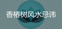 院子里种香椿树的风水禁忌是什么？