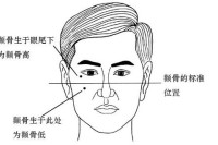 男性颧骨高,形象气质差