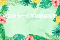 为什么桂花树不能种在家里(为什么桂树不能种在家里)