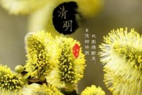 为什么要在清明节扫墓