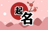 最吉利、最旺财的品牌名称(品牌名称方法)