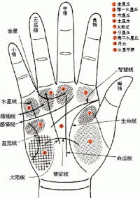 看看掌纹算命视频教程网站掌纹在线算命的服务流程