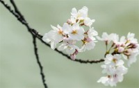 11月有哪些节日(11月有哪些节日)