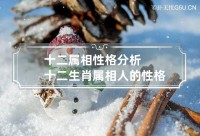 十二属相的性格分析是什么?