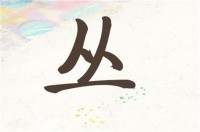 姓丛女孩100分名字(姓丛女孩100分名字归纳)