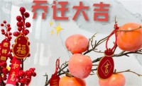 2023年11月13日适合乔迁吗(这一天乔迁好不好)