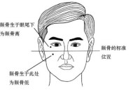 男性颧骨突出,清高 如果一个男人有这样的外表特征