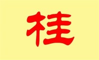 给姓桂的宝宝取个好听的名字(姓桂的好男孩的名字)