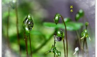 雨水节不下雨意味着什么?我们的生活会受到影响吗?