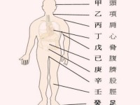 八字中一个五行太弱的八字容易生病