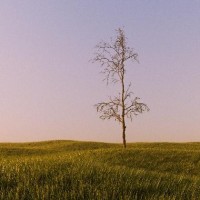 梦见青苹果,和别人分享你的工作/学习!