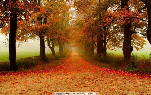  《卫斯理传奇》