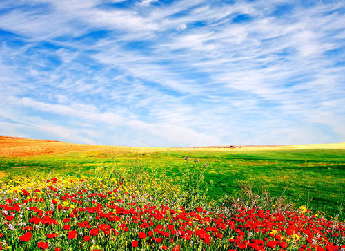 人文地图《地中海香颂》全12集 国语中字 BD/720P高清纪录片